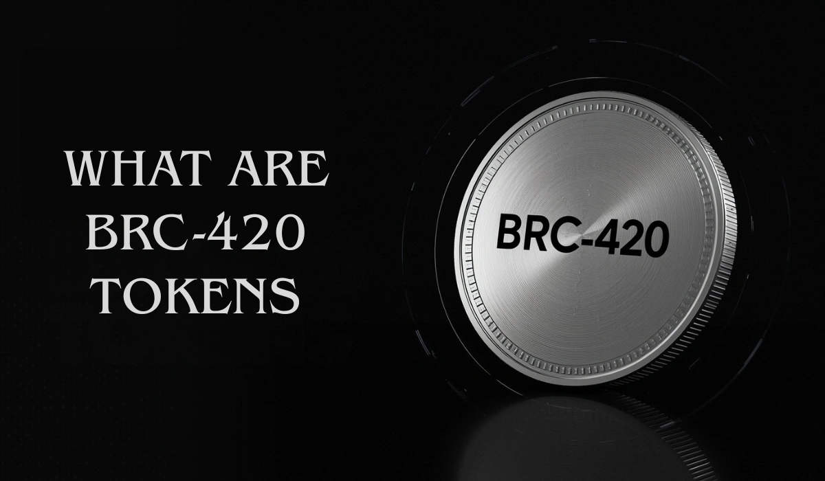 What Are BRC-20 Tokens