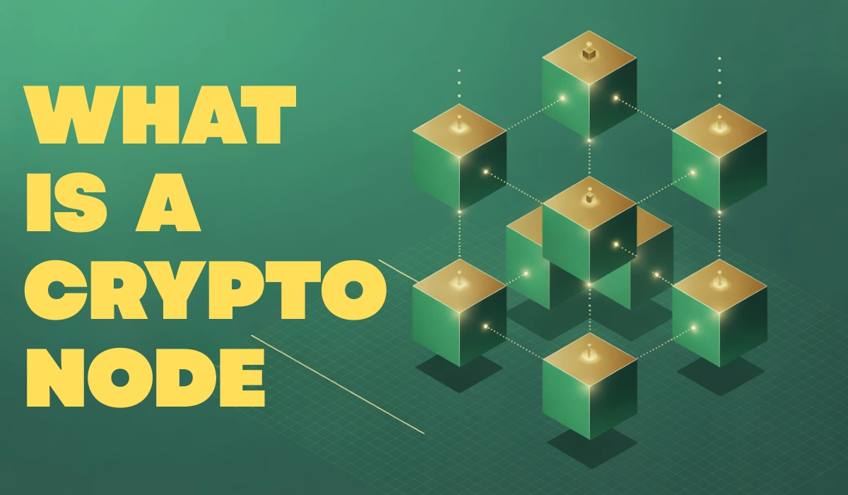 What Is Crypto Node