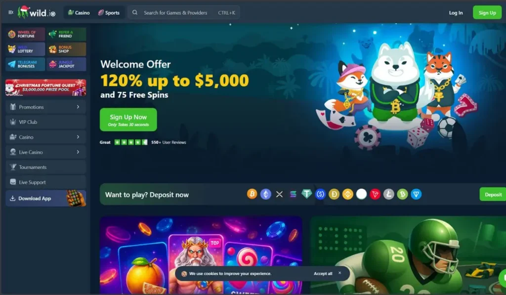 Wild.io Casino interface highlighting high RTP slots and crypto-friendly payments