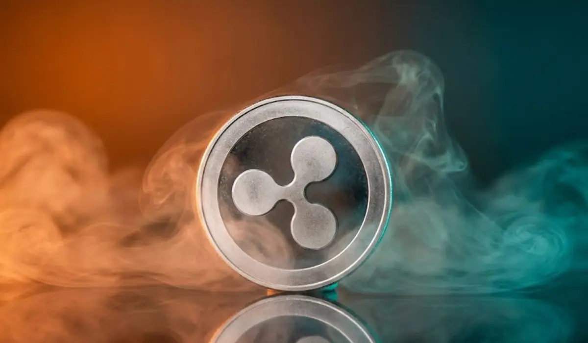 Ripple executives and XRP supply distribution overview.