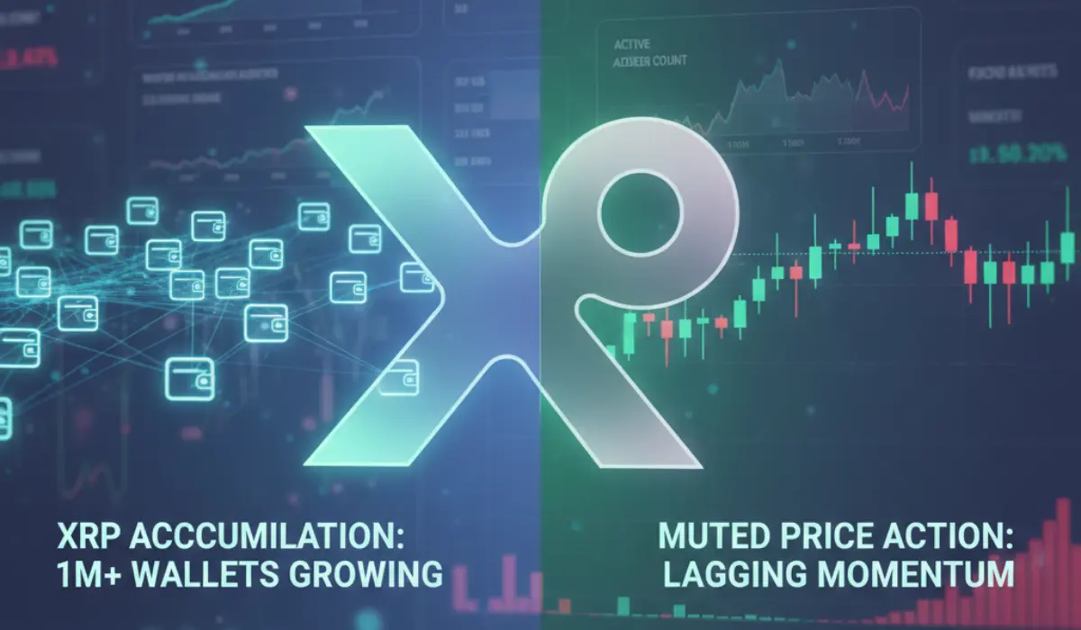 Santiment: Million-XRP Wallets Rise as Price Lags